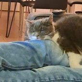 User avatar for Annie Daigle