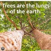 User avatar for Breathless No More