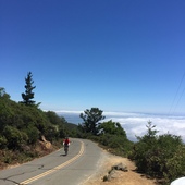 User avatar for Josue Dominguez