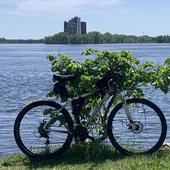 User avatar for Charles Bedard