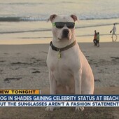 User avatar for Martin Burgos