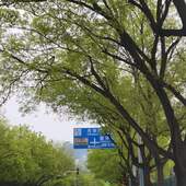 User avatar for Tiantian Tang