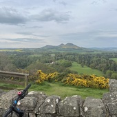 User avatar for Gillian Laing