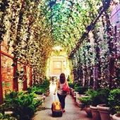 User avatar for Julia Brown