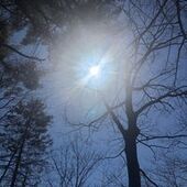 User avatar for Emelyne Ruoma