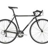 User avatar for Dominic Frascella