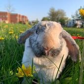 User avatar for Diane Lagacé