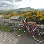 User avatar for Kirsty Loudon