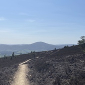 User avatar for Simon Richards