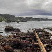 User avatar for Kirstin Nichols