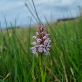 User avatar for Charlotte H