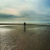 User avatar for Thomas Gibson