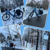 User avatar for Marco Daudeij