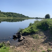 User avatar for Michael Ward