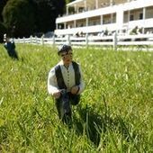 User avatar for David Dawson