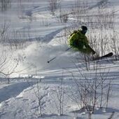 User avatar for Bill John