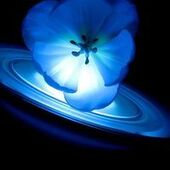 User avatar for Sageer Nakhawa