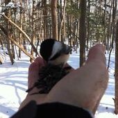 User avatar for Francesco Barile