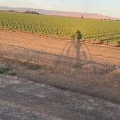 User avatar for Chris Flohr