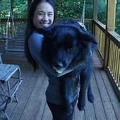 User avatar for Kimberly O'dell