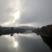 User avatar for Lorraine Harris