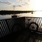 User avatar for Dave Arnold