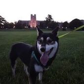 User avatar for Cat Woodson