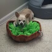 User avatar for Barbara Smith Sullivan