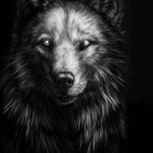 User avatar for Chris King