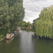 User avatar for Amanda Lee