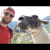 User avatar for Simon Collin