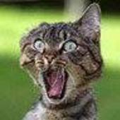 User avatar for Simon Pantel