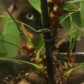 User avatar for Dani Novak