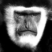 User avatar for Dan Staines