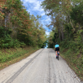 User avatar for Jenni Bedel