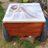 User avatar for Colin Kelly