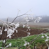 User avatar for L Harwood