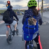 User avatar for Alison Hirst