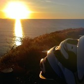 User avatar for Suzanne Shannon