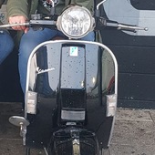 User avatar for Trish Back