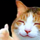 Small user avatar