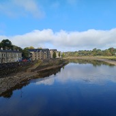 User avatar for Dawn Gillon