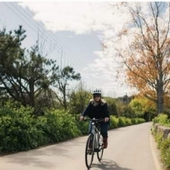 User avatar for Howard Sarah