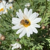 User avatar for Declan McGavin