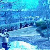 User avatar for Inuka Midha