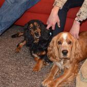 User avatar for Bob Nonnekens