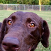 User avatar for Shane Totten