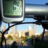 User avatar for Reed Irvine