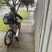 User avatar for Ava Davies