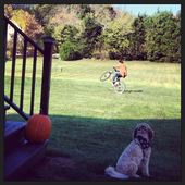 User avatar for Steve Herzlieb